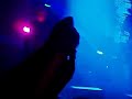 Myslovitz - Gadaj?ce g?owy 80-06 (live) Myslovitz - Gadaj?ce g?owy 80-06 (live)