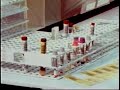 My World A Medical Laboratory Professional