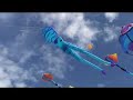 Peter Lynn Cuttle Fish in flight