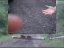 super JUMP(4roues)