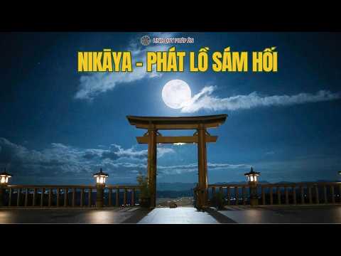 NIKAYA - Phát Lồ Sám Hối - Khoá Tu Xuất Gia Ngắn Hạn 24