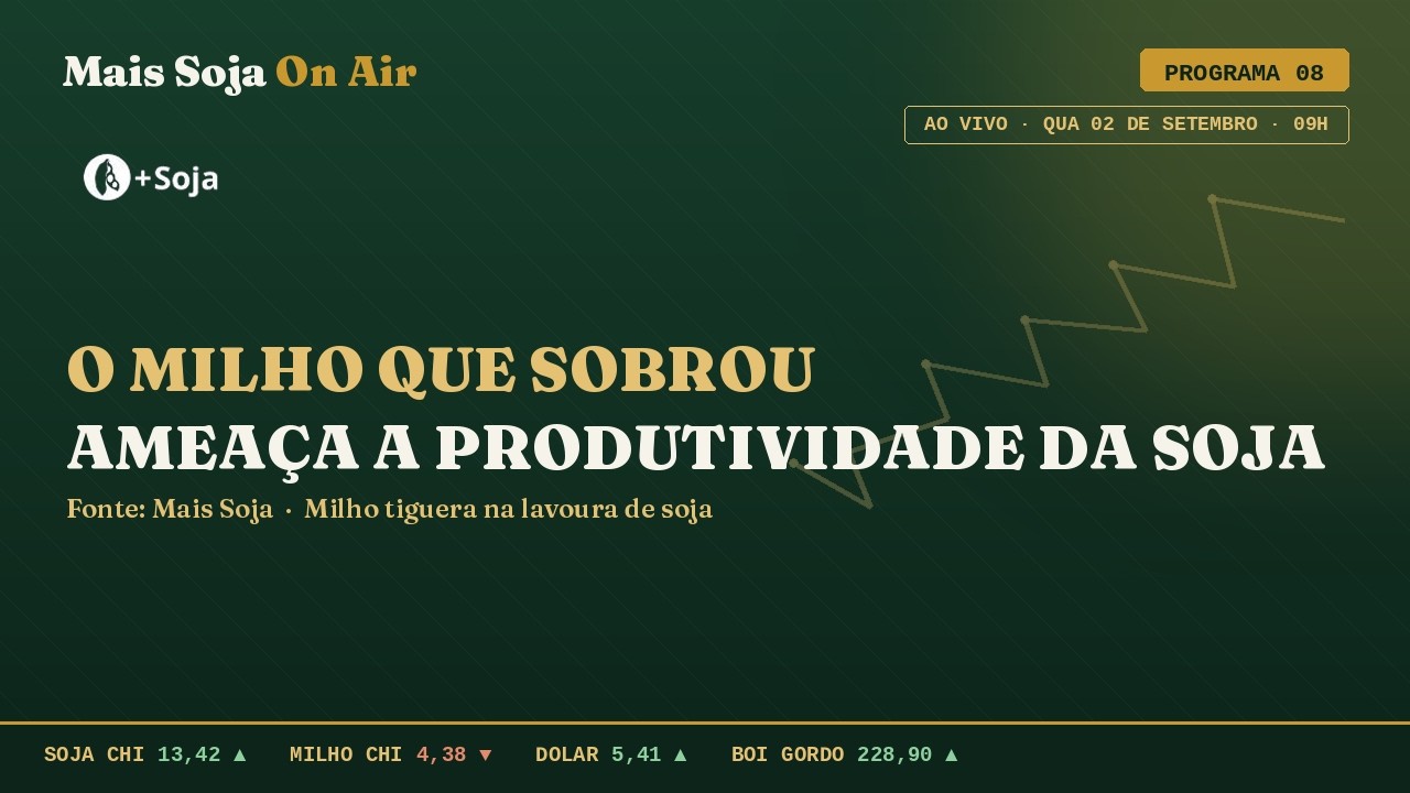 Milho tiguera e a produtividade de Soja | Mais Soja On Air