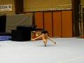 videos de vloeroefening rosanne dubbink