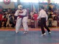 Panguipulli 2008