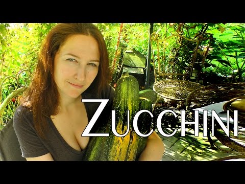 how to take care of zucchini