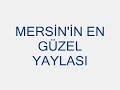 Mersinin en güzel yaylası ÇAMLIYAYLA'dan resimler