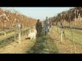 Ice Wine