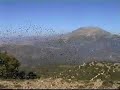 vistas del calar de la puebla de don fadrique y sus contornos