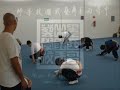 wushu kungfu mexico