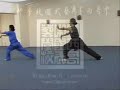 wushu kungfu mexico