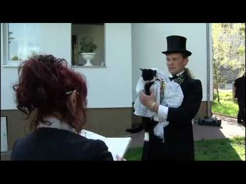 Image de prévisualisation YouTube