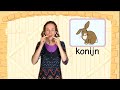 konijn