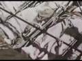 With the Marines at Tarawa (ca. 1945) 2/2