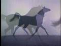 Beauty Of Horses