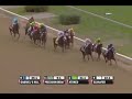 2010 Breeders' Cup Marathon 