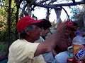 El 18 en San Marco IV Regi�n... Viva Chilito Mierda!!!!!!!!!