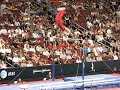 Alexander : Artemev HB at The 2008 Men\