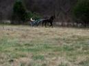 Picklez Jogging 2 Picklez Jogging 2