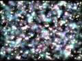 CERN EN 3 MINUTOS (2009)