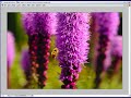 Selective Colour in Photoshop, plus a quick bit about Curves