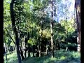 Morning at Planter's Camp in Coorg, Karnataka, India is greeted by the musical tones of over a hundred species of birds. A few moments from the captivating morning raga - THE SOUND OF BIRDS AT COORG PLANTER'S CAMP