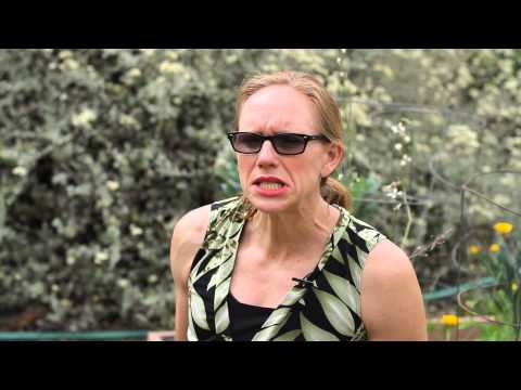 how to harvest new zealand spinach