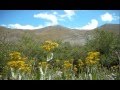 videos de RealWorld14ers07to08