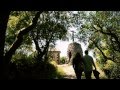 ver trabalho Mata Nacional do Buçaco - Dormir Em Plena Natureza