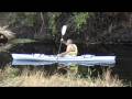 Kayaking around Myakka river