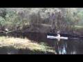 Kayaking around Myakka river