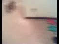 Dogbook Movie: Lola has the Puppy Crazies