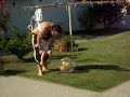 Jugando a la pelota con Papi