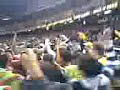 buddy kicks 100