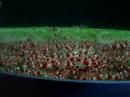 Crystel Red KweekAquarium A40  27 liter