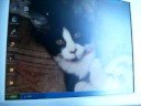Using a Computer as a Blind Person - JAWS Screen Reader