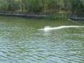 Kaiafas Passings RC Speed Boats 08