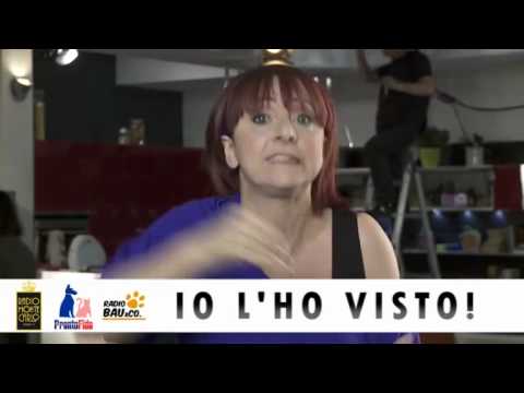 Immagine anteprima YouTube