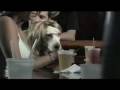 Rabanes Te Jodiste Video and Lyrics