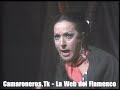 Lola Flores - Requiem por Federico http://Camaroneros.Tk