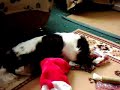Emma at Christmas