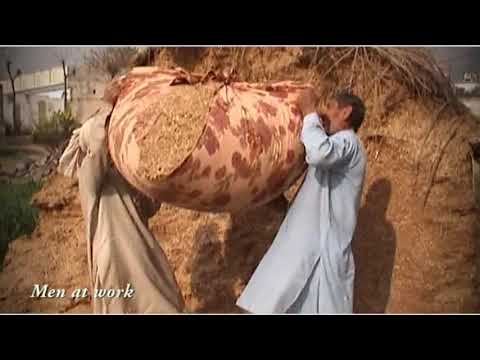 (Panjpir - Camera & Editing by Bilal Yousafzai (Canvas Production)