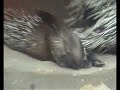 Rundgang durch die Zoom-Erlebniswelt GE Rundgang durch die Zoom-Erlebniswelt GE
