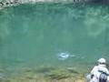 Pêche en Franche-Comté