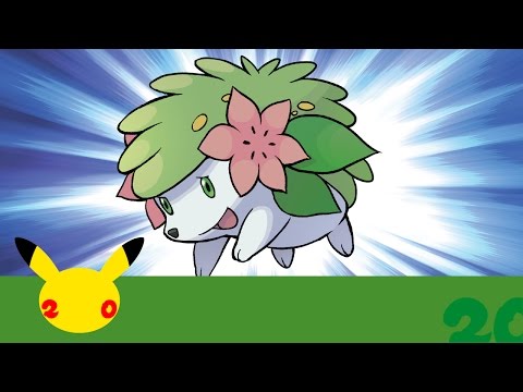 Vidéo 1