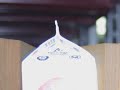 pote de leche