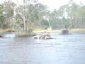 LOS MULATOS DEL MUD KISSIMMEE FL 10