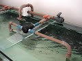 circulacao novo reef 