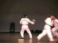 Korean tigers (tae kwon do)
