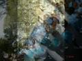 Shadows-of-a-bright-