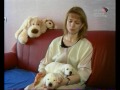 Золотистый Ретривер Айлиса "Зооярмарка" ННТВ
